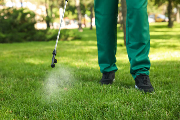 Insect Control in Ferndale, PA